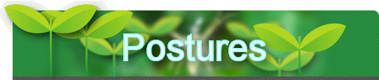 Postures